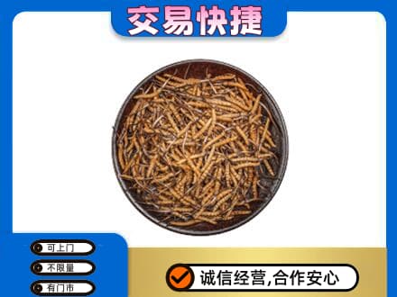 湘西高价回收散虫草